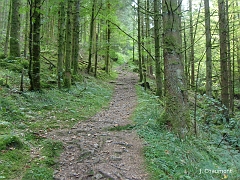 Le chemin poursuit son ascension